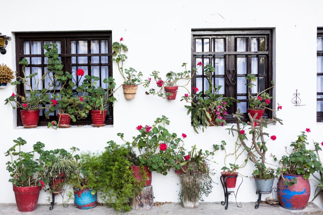 Olerki By Smiling Rentals Hondarribia Exterior foto